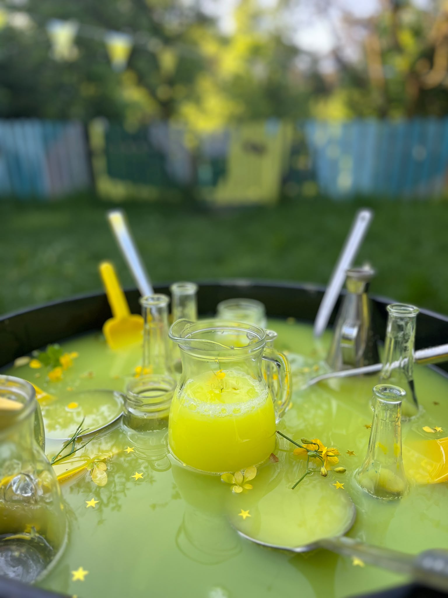 Experimente și joacă științifică în grădină