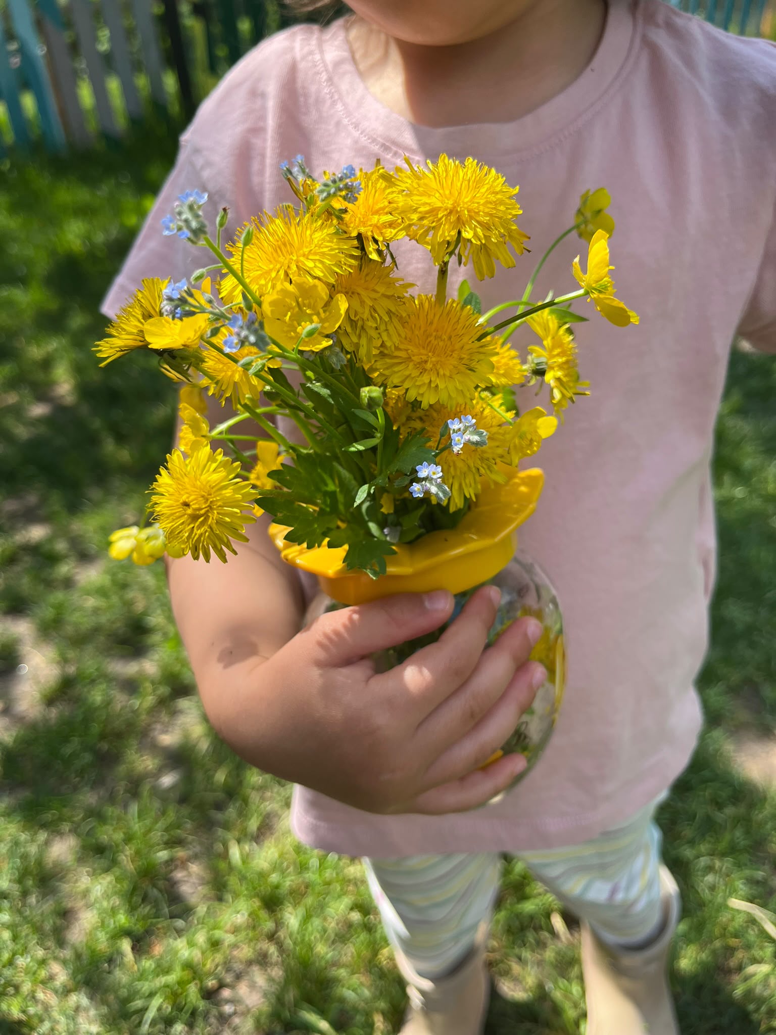 Buchet de flori de câmp culese în grădină