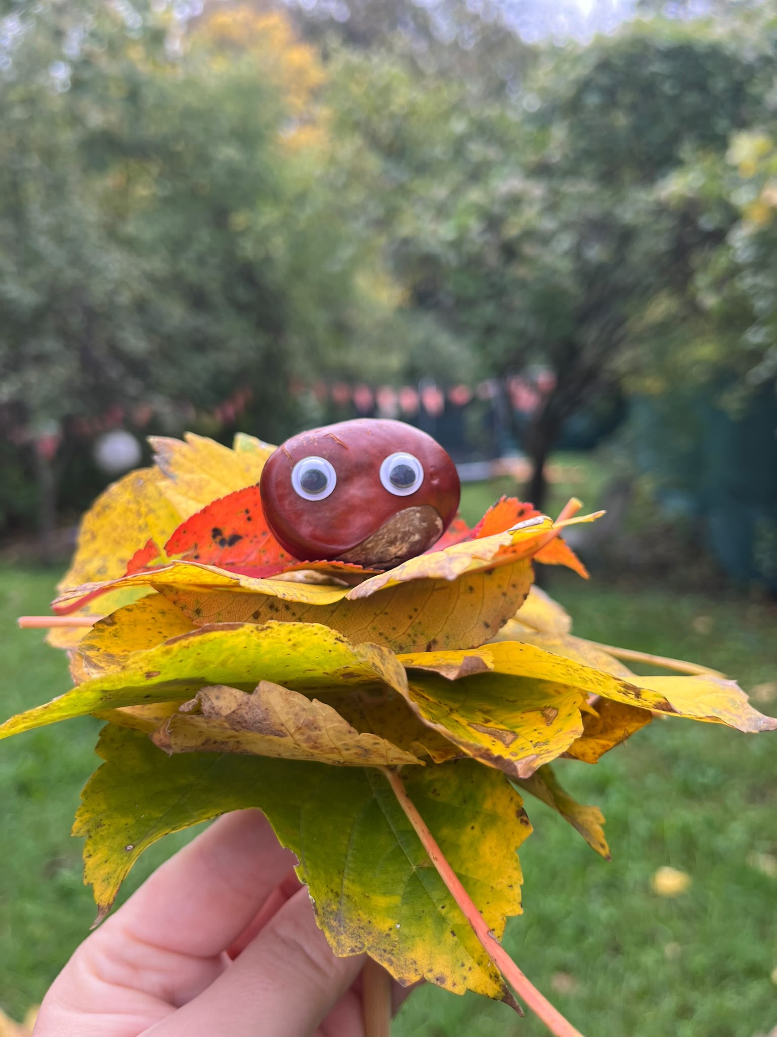 Castană cu ochișori, printre frunze de toamnă